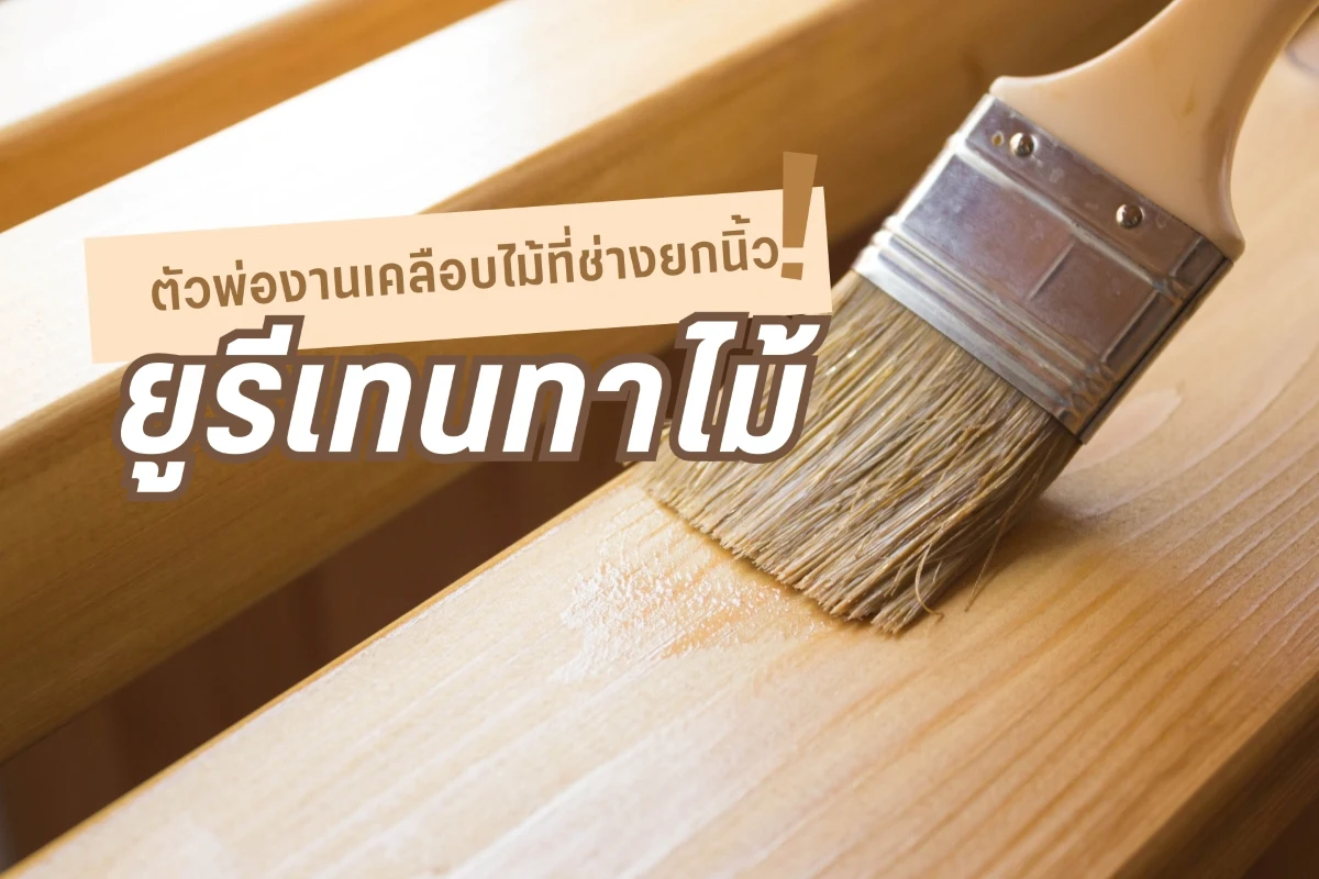 เบเยอร์ ยูรีเทนทาไม้