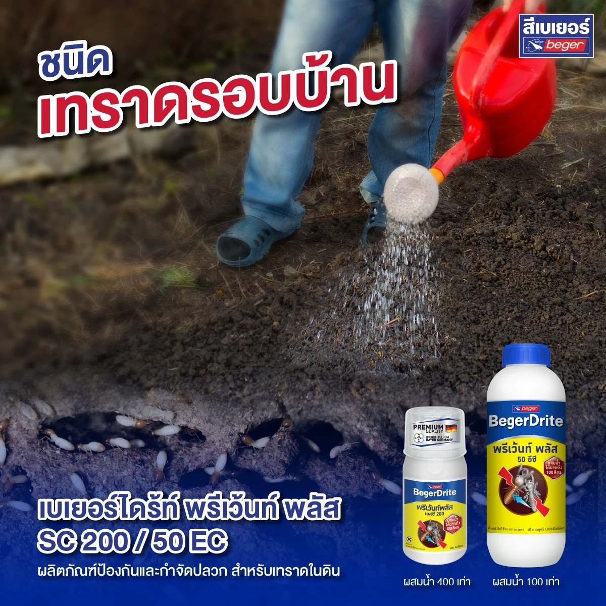 Drite เทราด