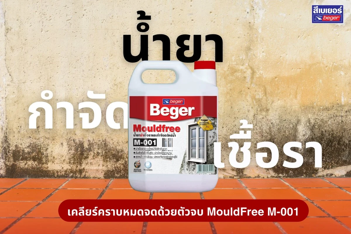 Beger MouldFree M-001