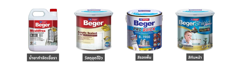 วอลเปเปอร์ขึ้นรา กำจัด