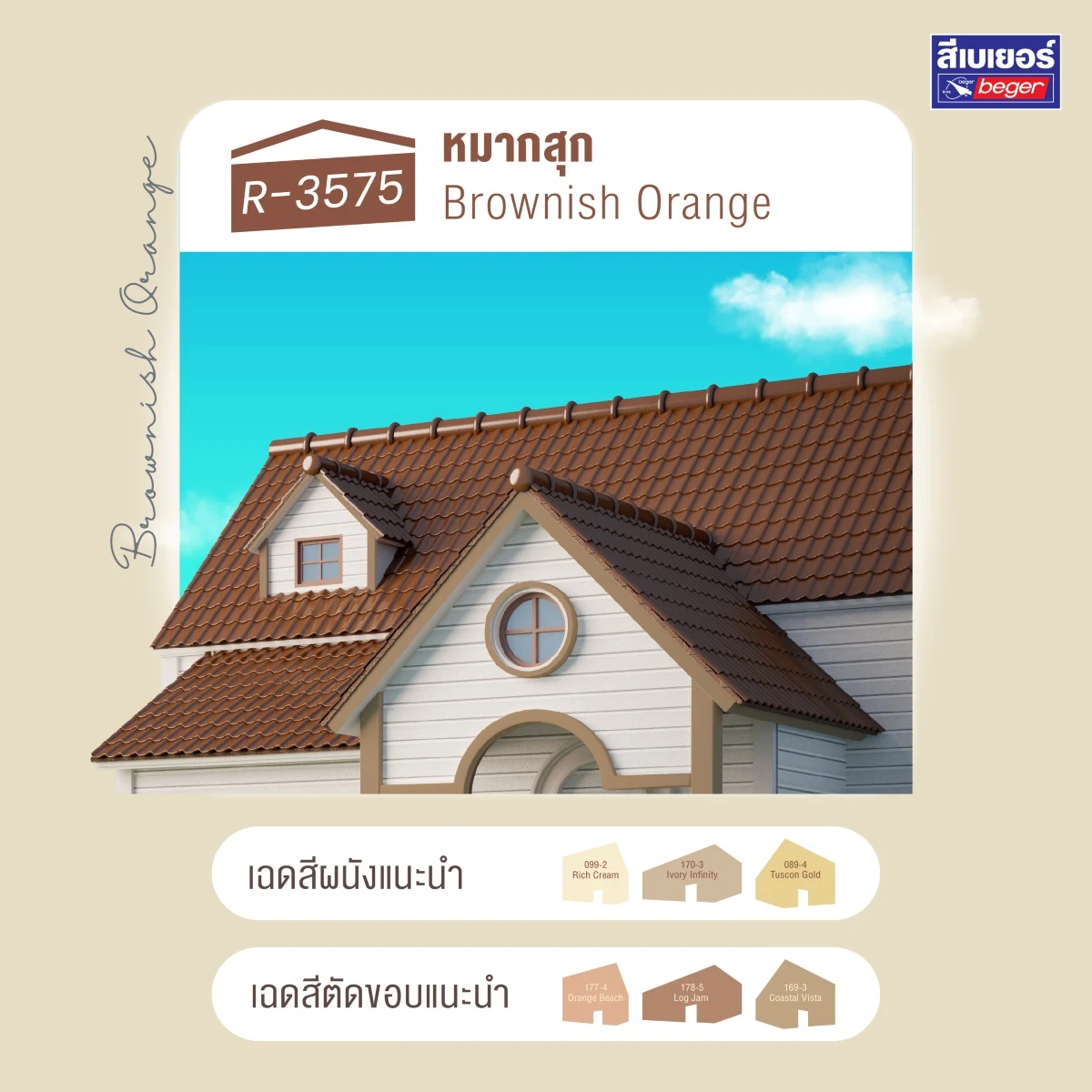 R-3575 Synotex color trend