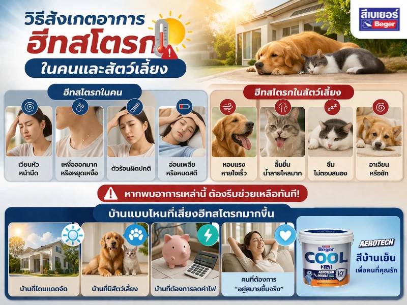 วิธีรับมือเมื่อเกิดฮีทสโตีก