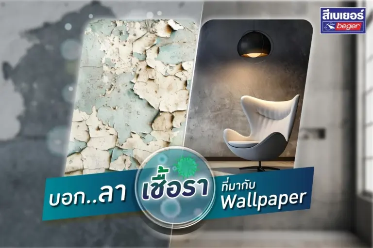 วอลเปเปอร์ขึ้นราเกิดจากอะไร? สาเหตุหลัก อันตรายต่อสุขภาพ และวิธีแก้ให้หายขาด