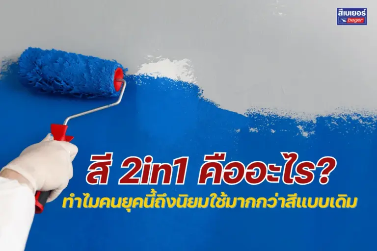 สี 2in1 คืออะไร? ทำไมคนยุคนี้ถึงนิยมใช้มากกว่าสีแบบเดิม