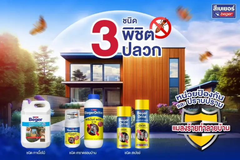 น้ำยากำจัดปลวก BegerDrite มีกี่สูตร? เลือกอย่างไรให้บ้านปลอดปลวกตลอดปี