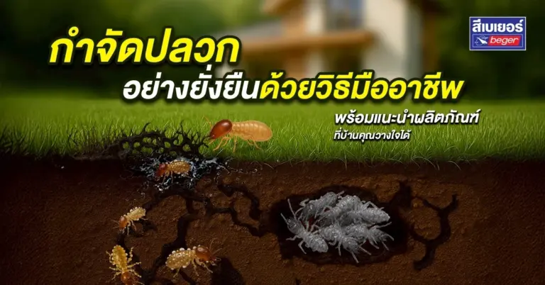 กำจัดปลวกอย่างยั่งยืน ด้วยวิธีมืออาชีพ พร้อมแนะนำผลิตภัณฑ์ที่บ้านคุณวางใจได้