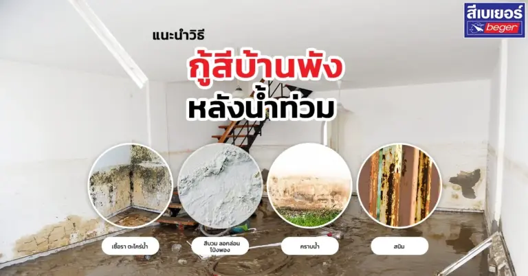 แนะวิธีซ่อมแซมบ้านหลังน้ำท่วม กู้สีบ้านพังให้สวยปังเหมือนเก่า