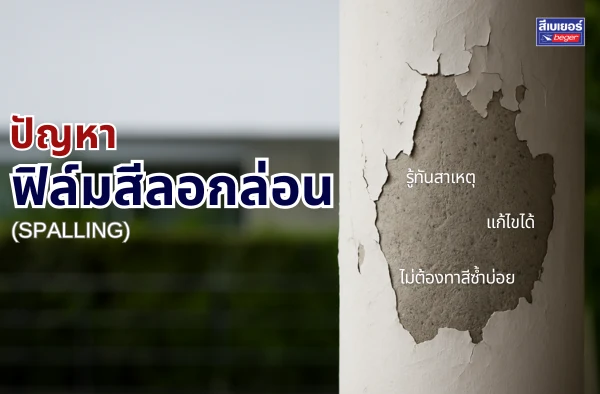 ปัญหาฟิล์มสีลอกล่อน (Spalling) รู้ทันสาเหตุ แก้ไขได้ ไม่ต้องทาสีซ้ำบ่อย