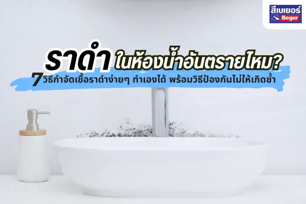 ราดำในห้องน้ำอันตรายไหม? 7 วิธีกำจัดเชื้อราดำง่าย ๆ ทำเองได้ พร้อมวิธีป้องกันไม่ให้เกิดซ้ำ