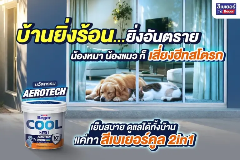 บ้านยิ่งร้อน ยิ่งอันตราย! น้องหมา น้องแมว เสี่ยงฮีทสโตรก พร้อมวิธีเลือกสีทาบ้านให้บ้านเย็น