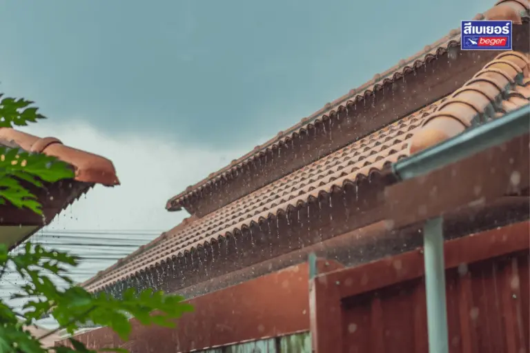 วิธีดูแลบ้านช่วงฝนตก ให้ปลอดภัย แห้ง สะอาด พร้อมแนะนำสีทาบ้านกันฝนที่เหมาะกับอากาศเมืองไทย
