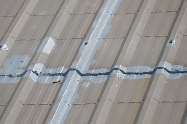 ปัญหาหลังคาเมทัลชีทรั่วซึม (Leaky Metal Sheet Roofs)