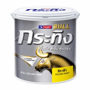 BULL Ceiling Paint